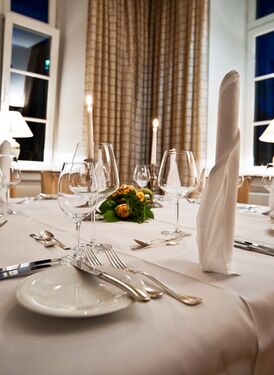 Edel gedeckter Tisch mit aufgestellter Servietten